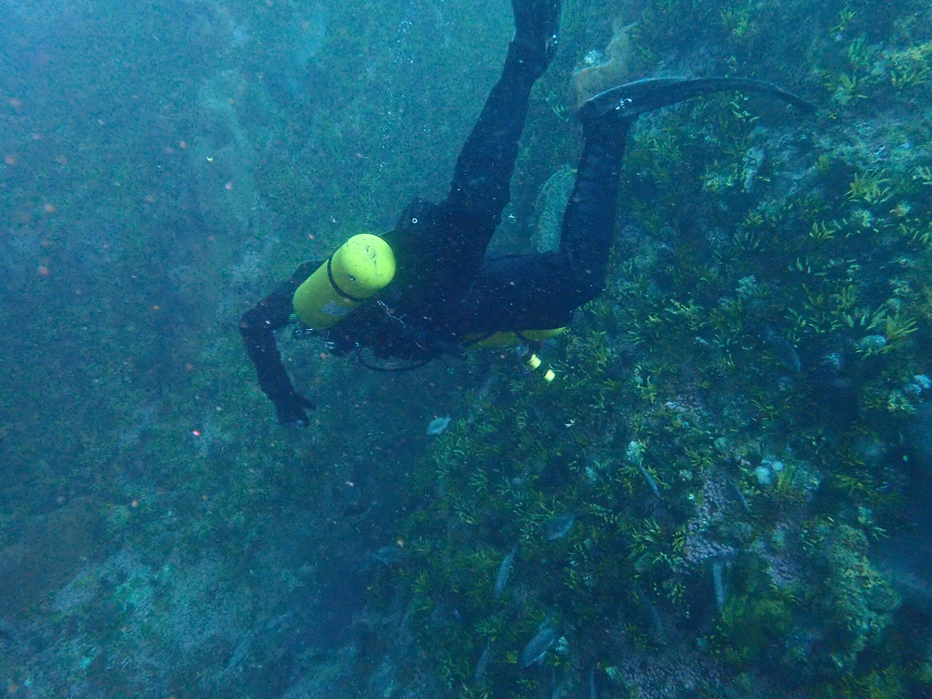 Дайвер в боковой конфигурации sidemount